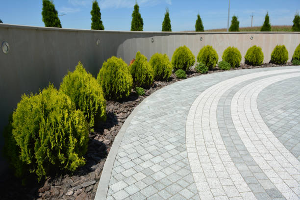 Reasons to Select Us for Your Driveway Paving Requirements in Comstock Park, MI
